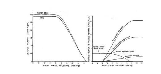 Guyton’s Theory of Venous Circulation: Relevance and Application