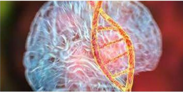 Pharmacological Directive in Diagnosing Dysexecutive Syndrome: A New Plebiscite in Prescribing Medication for Trauma Center Research