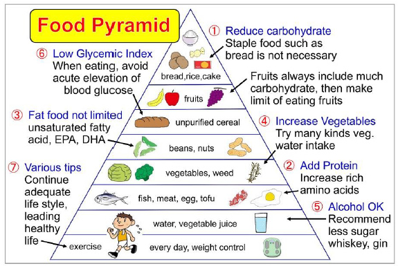 Effective Proposal of Food Pyramid for Understanding of Low Carbohydrate Diet (LCD)